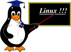 Curso de Shell Script: Módulo #0 - Comandos Básicos do Linux